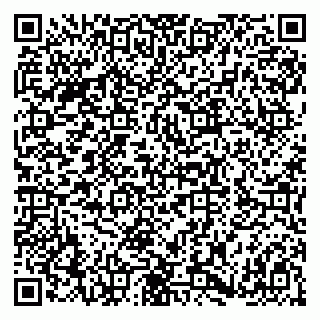vCard 79180000382