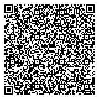 vCard 79180000384