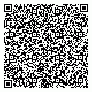 vCard 79180000393