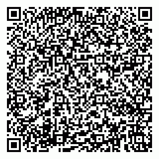 vCard 79180000403