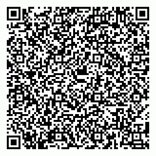 vCard 79180000411