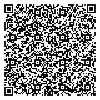vCard 79180000417