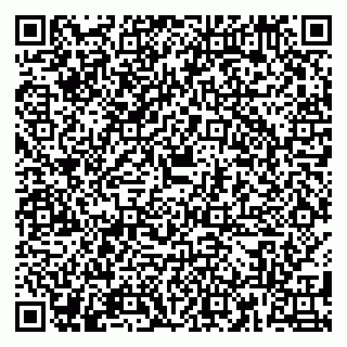 vCard 79180000419