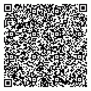 vCard 79180000424