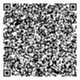 vCard 79180000500