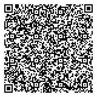 vCard 79180000503