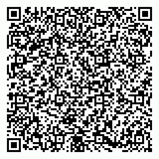 vCard 79180000508