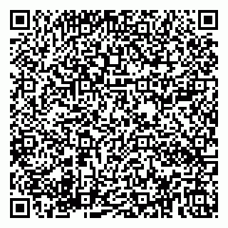 vCard 79180000509