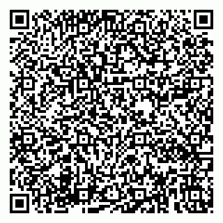 vCard 79180000513