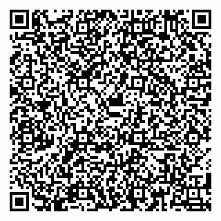 vCard 79180000521