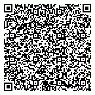 vCard 79180000528