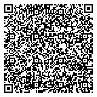 vCard 79180000529