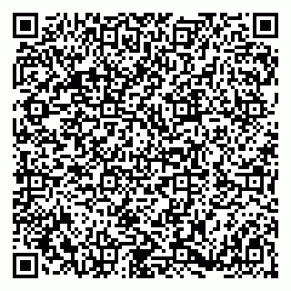 vCard 79180000613