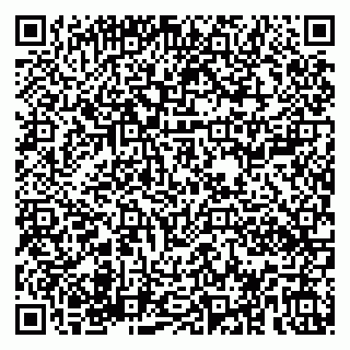vCard 79180000739