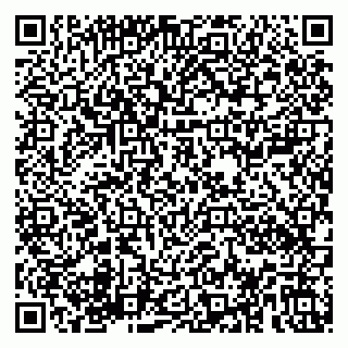 vCard 79180000931