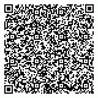 vCard 79180000933