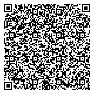 vCard 79180000977