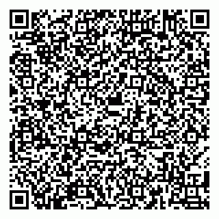 vCard 79180001013