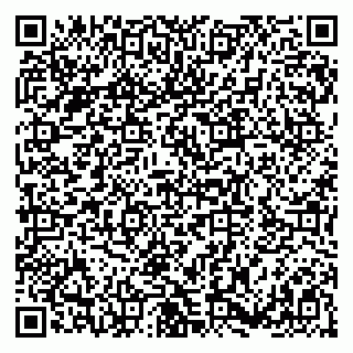 vCard 79180001031