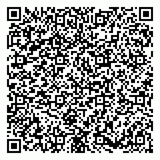 vCard 79180001033