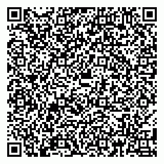 vCard 79180001065