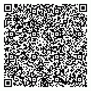 vCard 79180001300