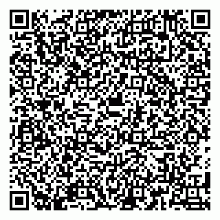 vCard 79180001301