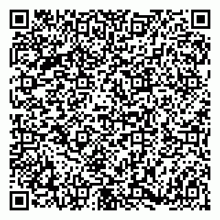 vCard 79180001303