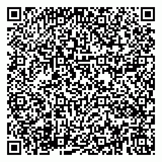 vCard 79180001305