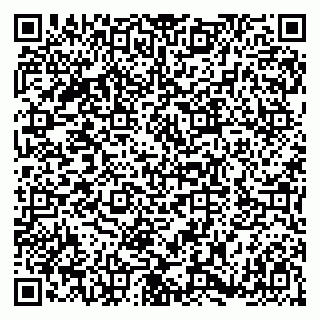 vCard 79180001306