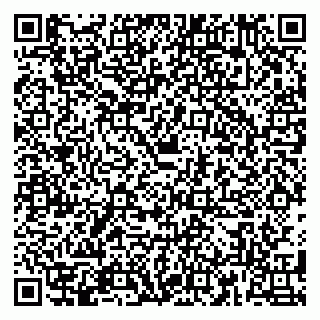 vCard 79180001311