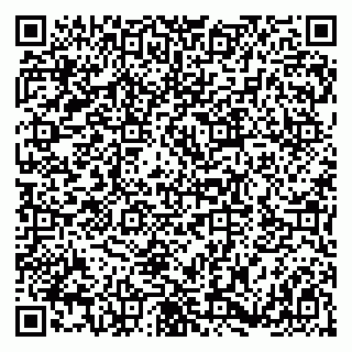 vCard 79180001313