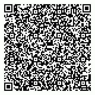 vCard 79180001317