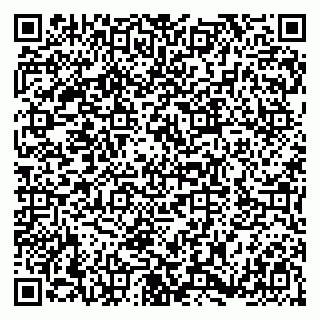 vCard 79180001319