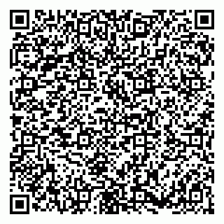 vCard 79180001333