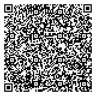 vCard 79180001338