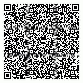 vCard 79180001339