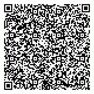 vCard 79180001351