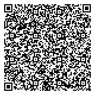 vCard 79180001379