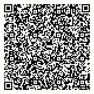 vCard 79180001381