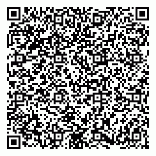 vCard 79180001393