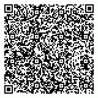 vCard 79180001411