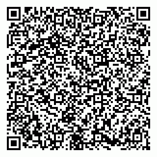 vCard 79180001529