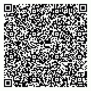 vCard 79180001539
