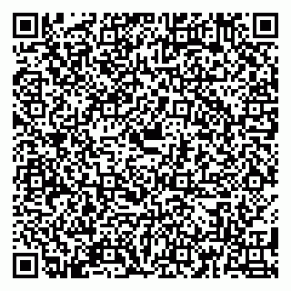 vCard 79180001541
