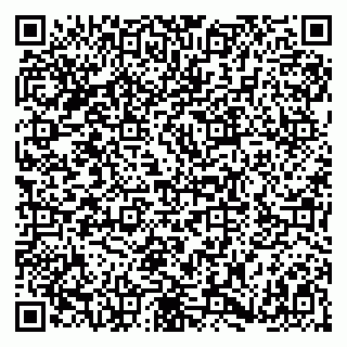 vCard 79180001581