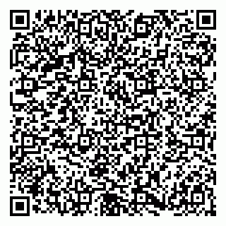 vCard 79180001599