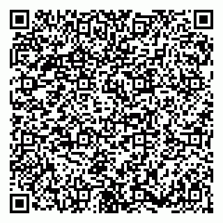 vCard 79180001635