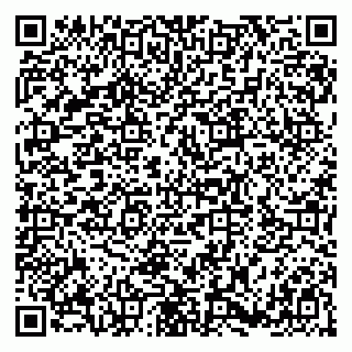 vCard 79180001729