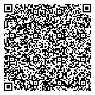 vCard 79180001731